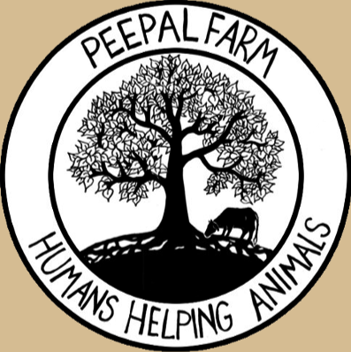 Articles from Peepal Farm